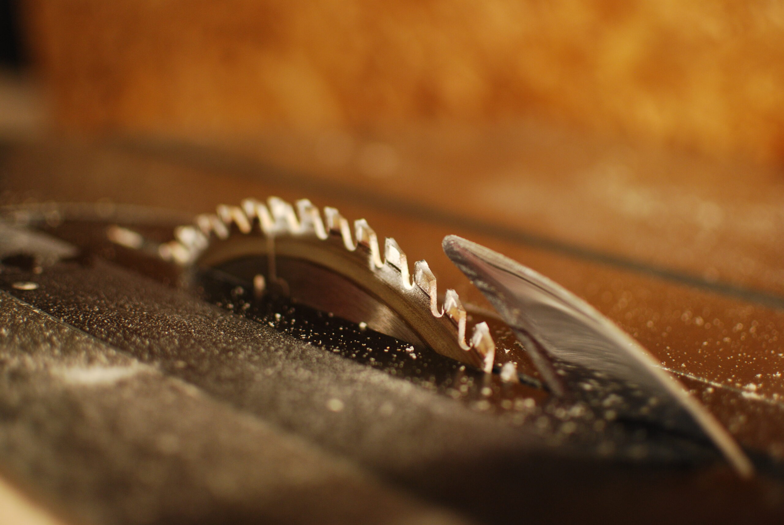 Blade Size and Cutting Capacity - Matching Your Saw to Your Projects (image credits: wikimedia)