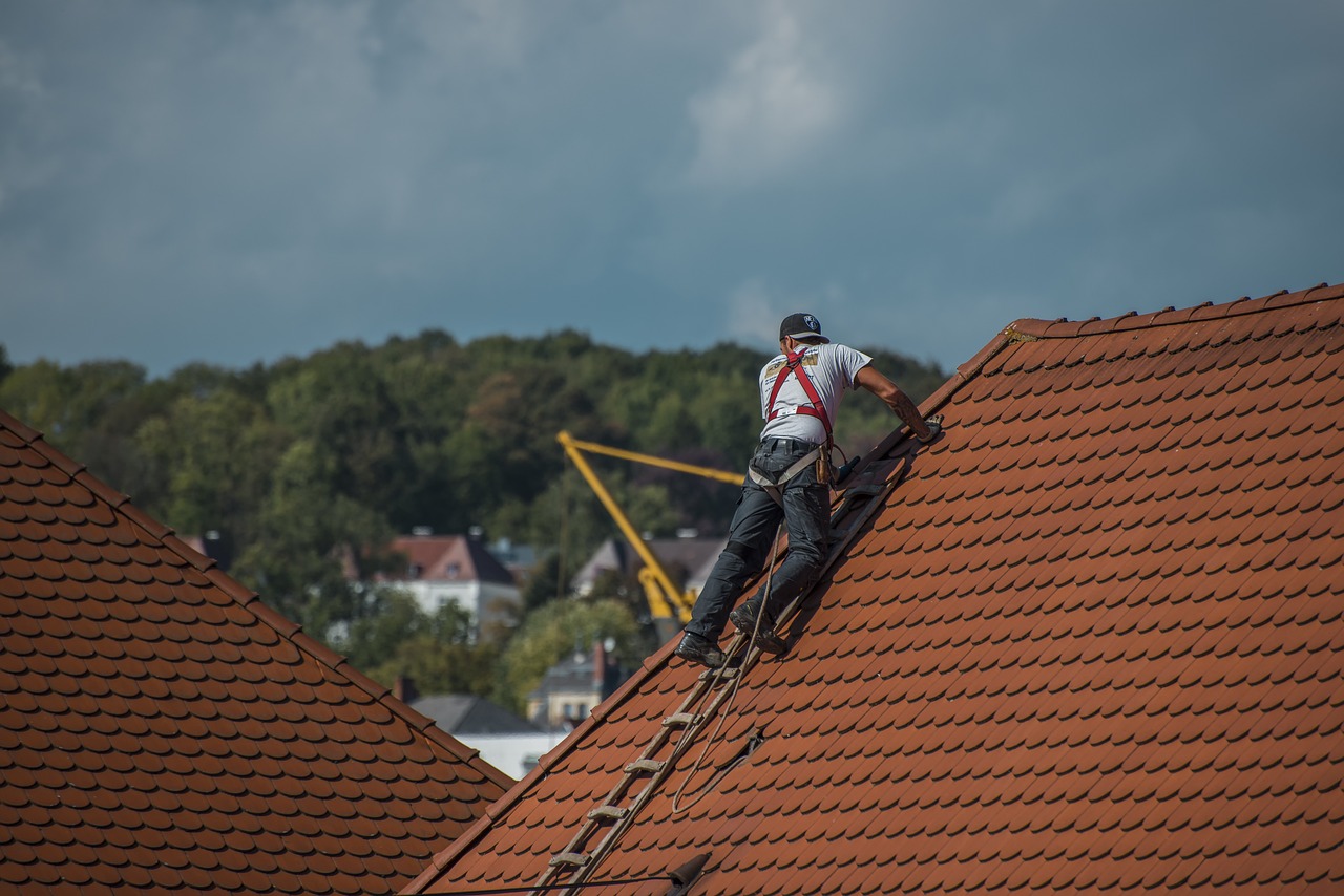Fixing a Leaky Roof (image credits: pixabay)