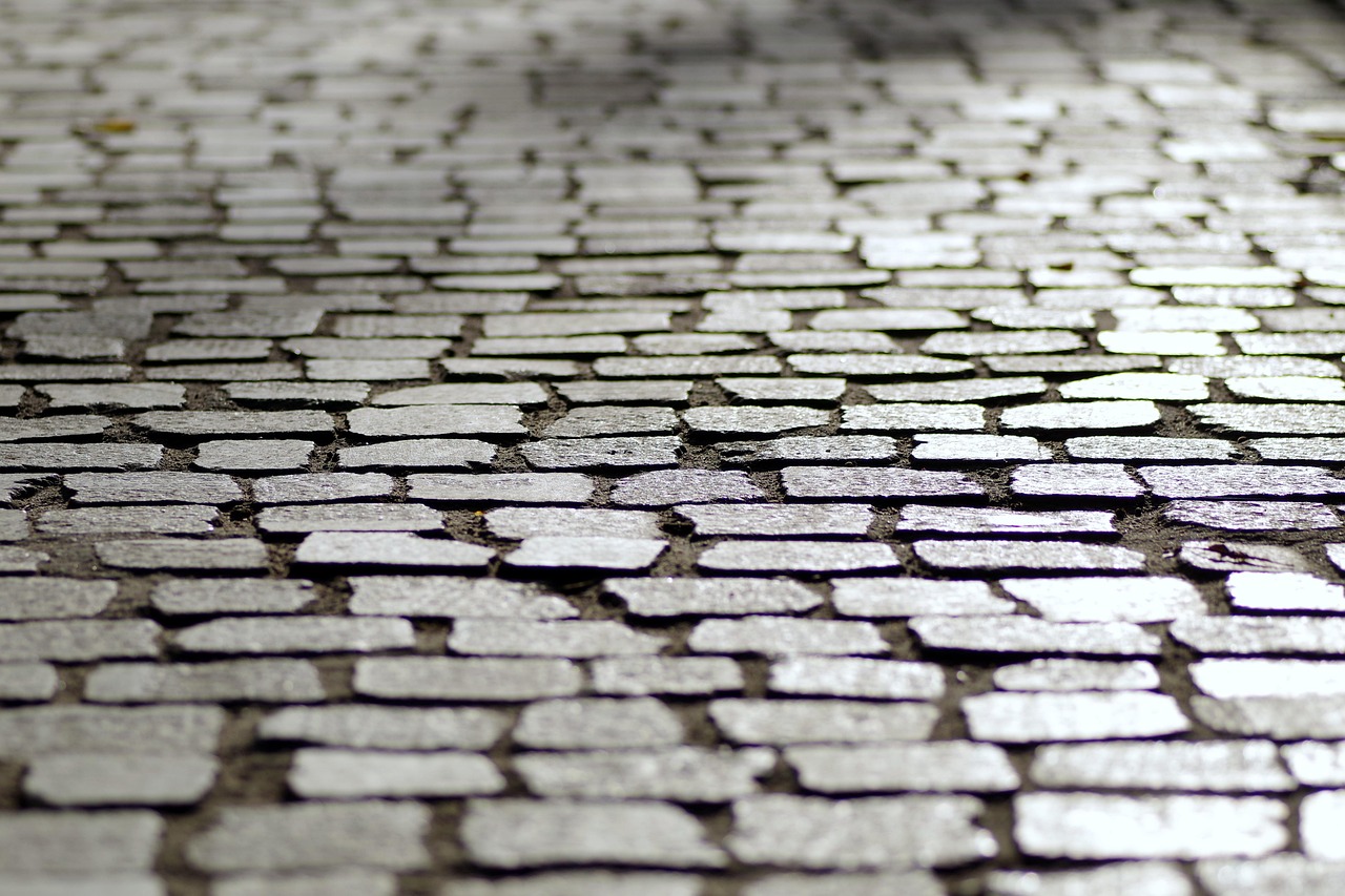 Securing Slippery Walkways (image credits: pixabay)